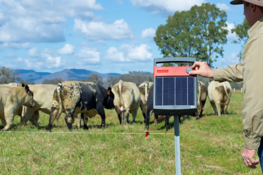 La société tarnaise Cabi Group distribue les électrificateurs Speedrite, marque néozélandaise et australienne.