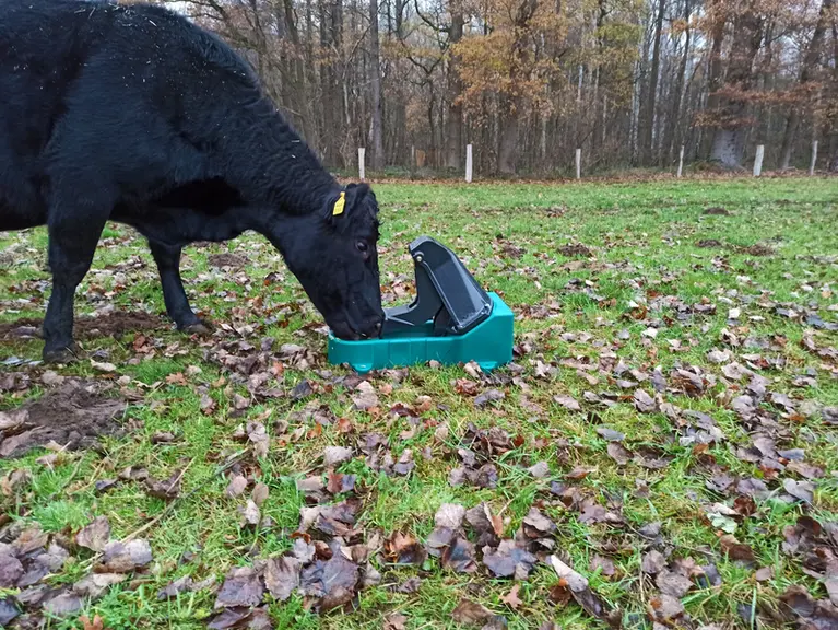 La pompe à pâture Suevia peut remonter de l'eau jusqu'à 7 m de profondeur.