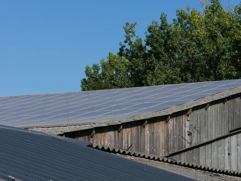 La présence de panneaux photovoltaïques sur l'exploitation a été l'un des facteurs motivant l'achat d'un engin de manutention électrique.