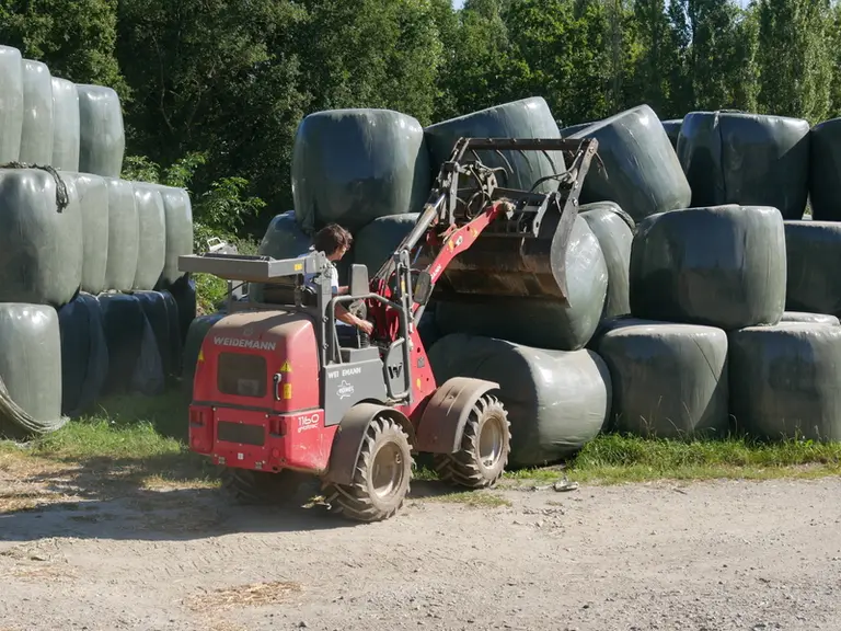 Le Weidemann eHoftrac 1160 réalise la manutention de balles de fourrage et de paille, ainsi que le curage des cases des porcs.