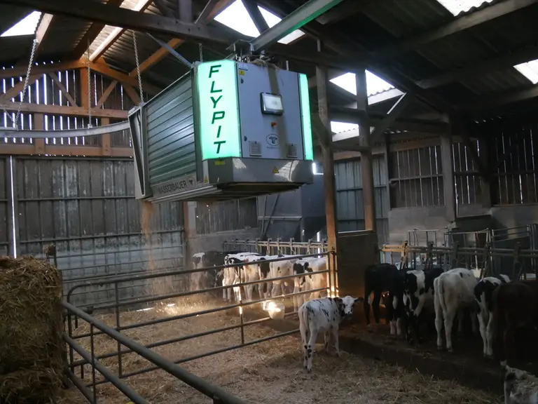 L’aire de couchage des veaux est paillée par l’automate Wasserbauer Flypit desservant les logettes.