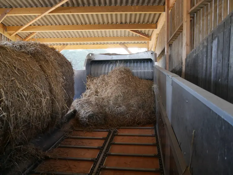 La paille est broyée avant son chargement dans les wagons pailleurs. La longueur des brins est définie par des cribles à choisir lors de l'achat et ne