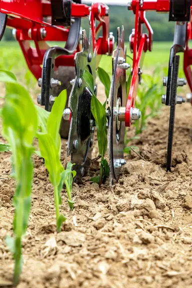 Les bineuses Transformer VF se complètent de disques ou de tôles protège-plants.
