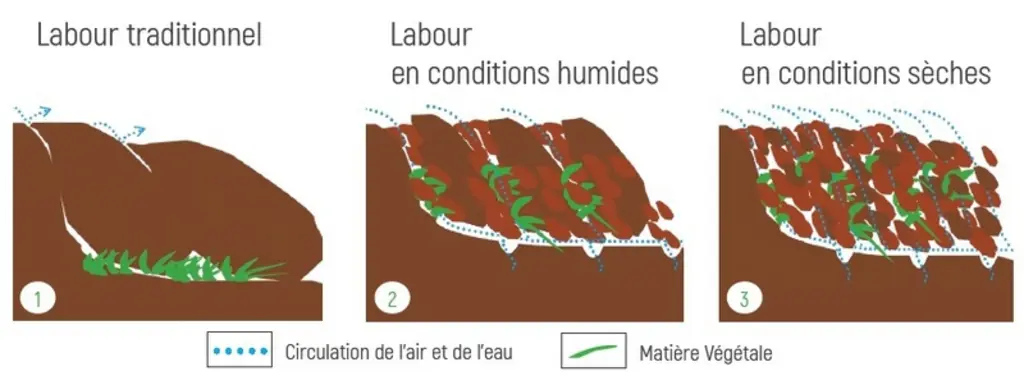 Le labour à faible profondeur réalisé avec une charrue déchaumeuse garantit de meilleurs échanges entre les débris végétaux, l’air et l’eau, afin de f