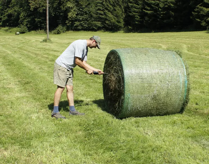 Les sondes dotées d'une longue tige métallique sont efficaces pour mesurer l'humidité du foin pressé en balles.