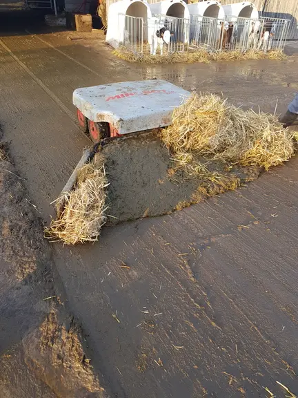 Le robot racleur Mirobot accepte un paillage conséquent.