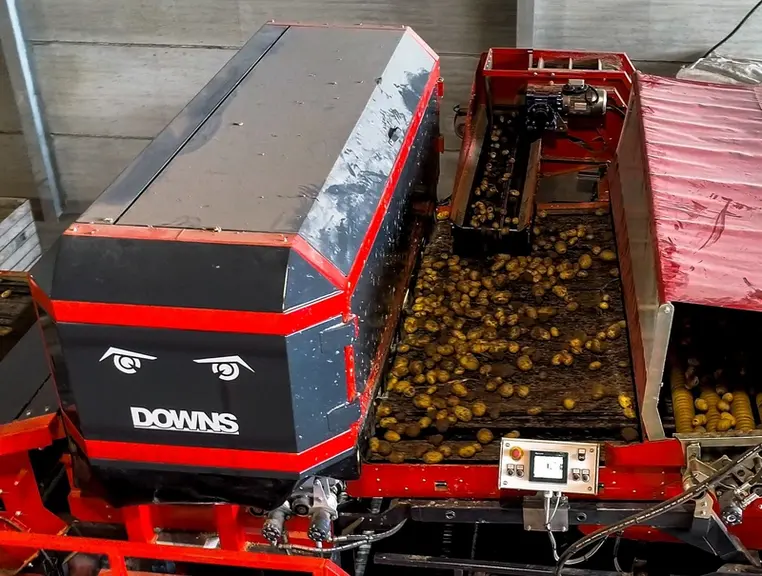 Le trieur Optique Downs CropVision classe le flux de récolte en trois lots : les pommes de terre de première classe, les secondes classes et les déche