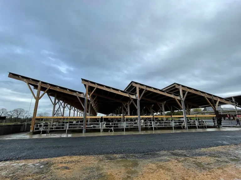 D’une surface de 2 800 m2, le nouveau bâtiment abritant les vaches laitières et les trois robots de traite ne dispose pas de bardage ni de filets bris
