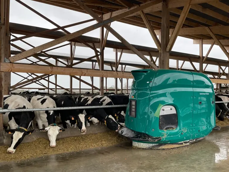Le robot d’alimentation GEA Dairy Feed F4500 fonctionne 24 heures sur 24 et réalise chaque jour jusqu’à 16 voyages d’environ 800 kg pour nourrir les 2