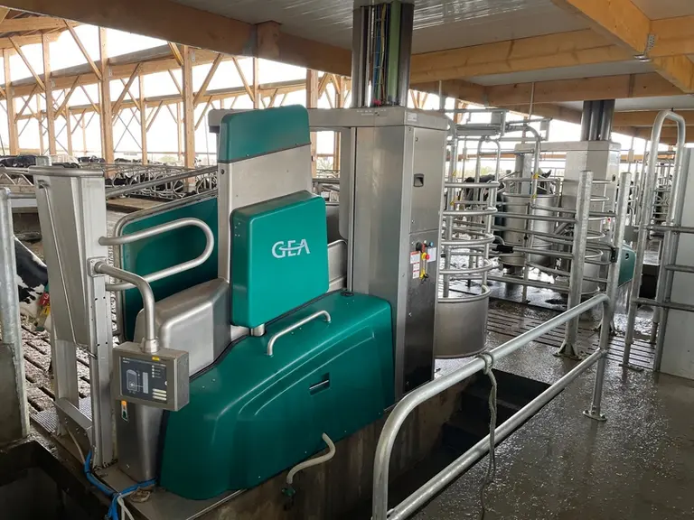 Les éleveurs ont enregistré une augmentation moyenne de la production de lait de 5 kg par vache et par jour depuis l’arrivée de l’automate de distribu