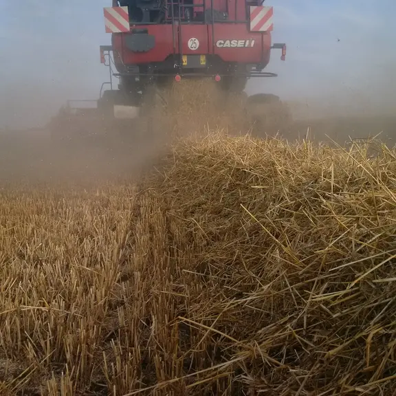 Les machines à rotor(s) ont bien évolué en termes de respect de la paille et se retrouvent aujourd’hui couramment dans les régions d’élevage.