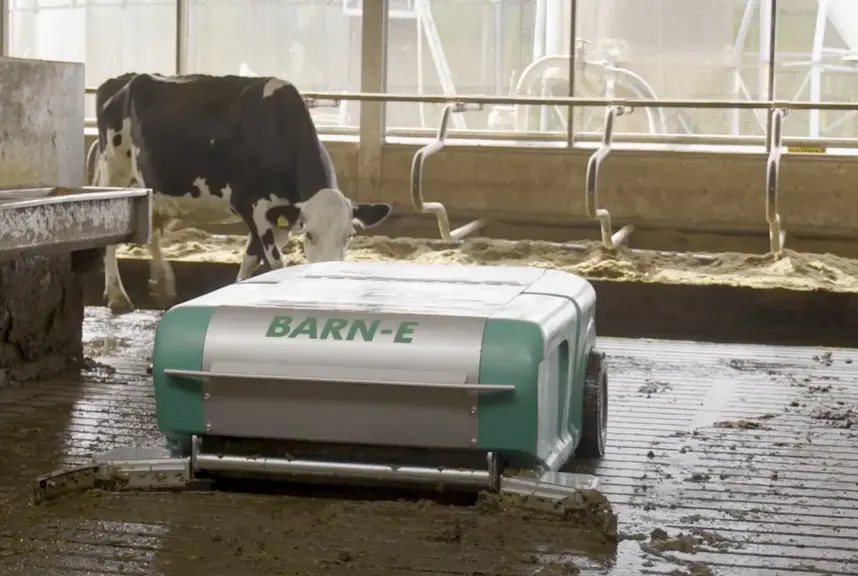 Robot racleur Barn-E en action