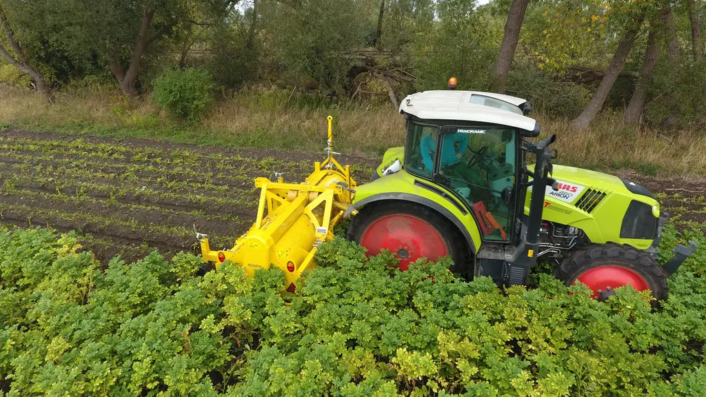 Ropa Broyeur de fanes de pommes de terre Réussir machinisme