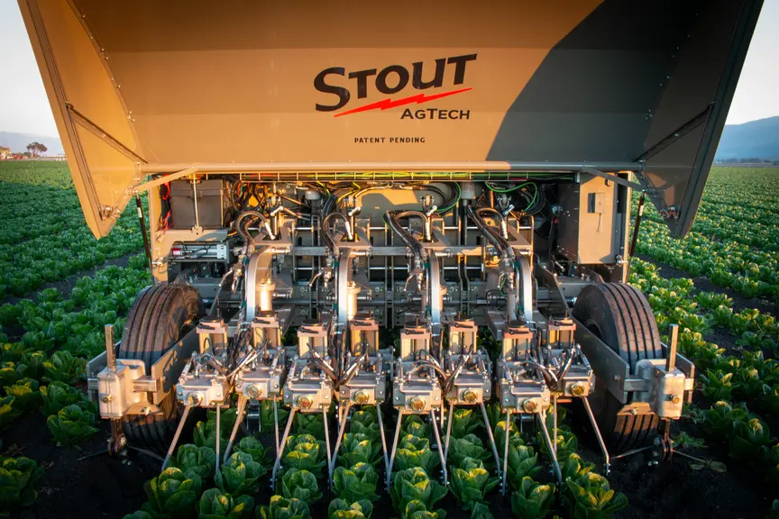 Stout propose des bineuses dotées de caméras et d'intelligence artificielle différenciant cultures et adventices pour éliminer mécaniquement ces derni