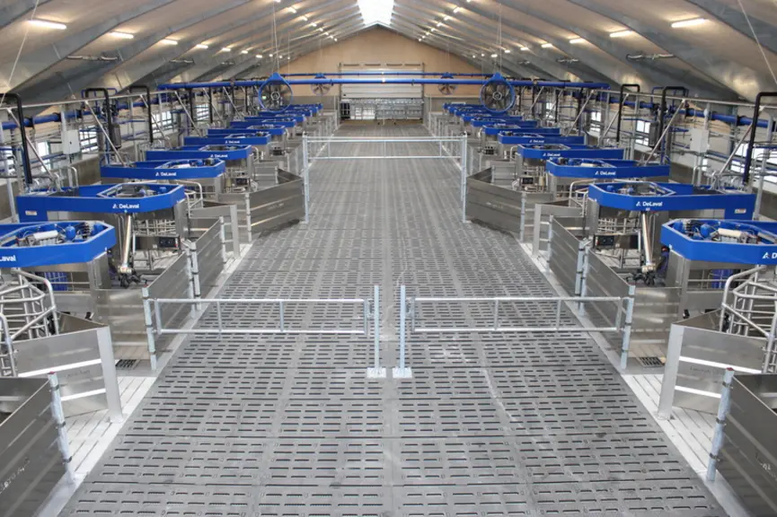 Fonctionnant en Batch Milking (traite par lots), les 24 robots de traite DeLaval VMS V310 de la ferme danoise Lønholm Agro ApS trairont à terme 1 400