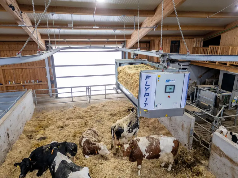 Robot de paillage Flypit de Boumatic