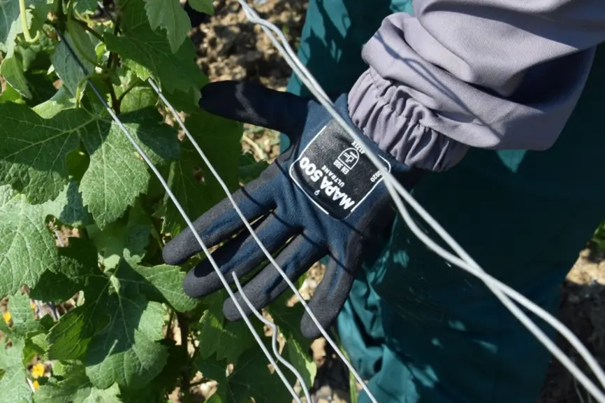 Gants pour protection contre les produits phytos