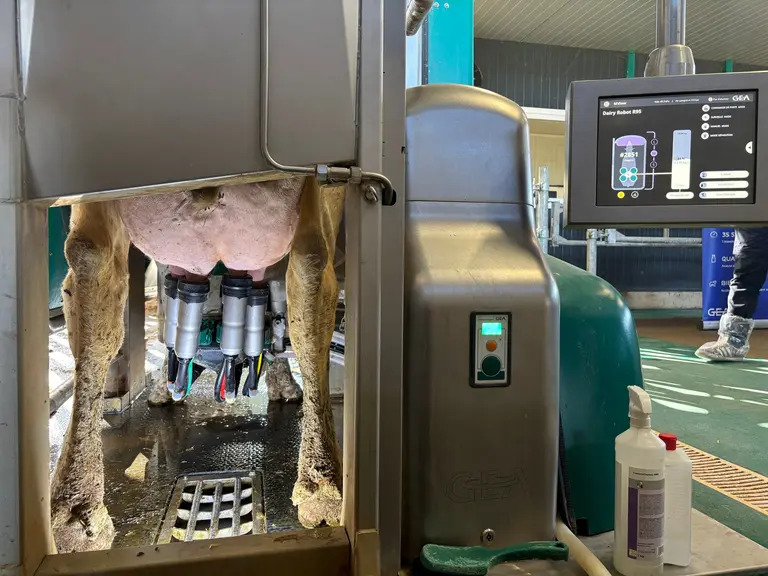 Robot de traite GEA