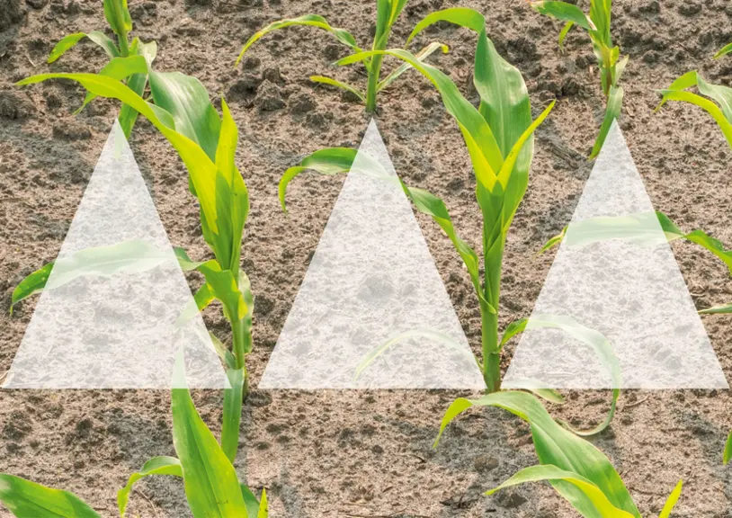 <em class="placeholder">Amazone SynCrop</em>