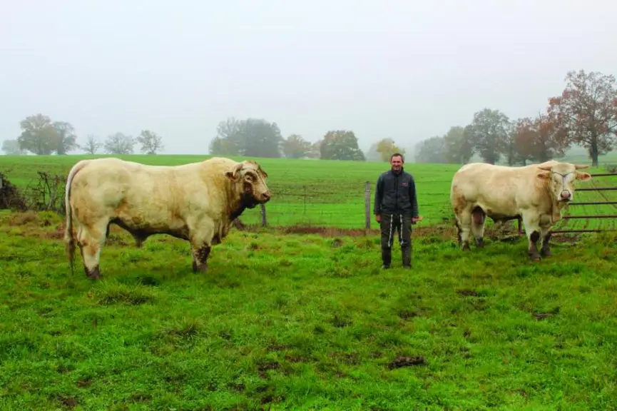 « Richelieu », deux ans et « Pandor », trente mois. Des mâles qui seront présents lors du Concours Général Agricole de Moulins.