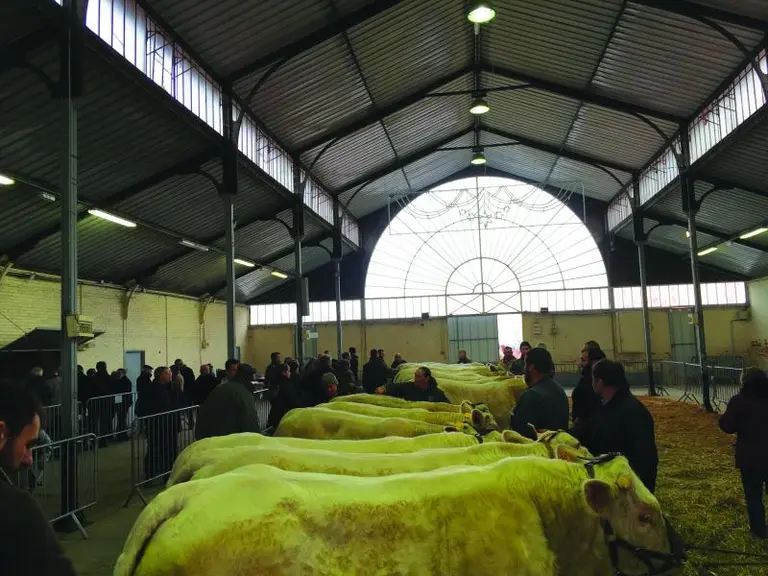 Un concours qui s’installe chaque année sous la halle du marché couvert de la ville.