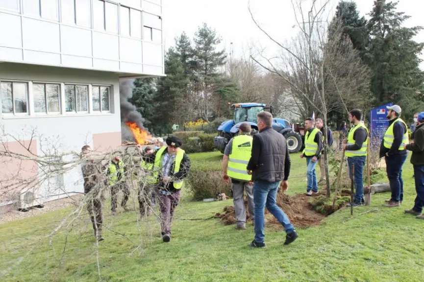 Les Jeunes Agriculteurs de l’Allier ont planté une haie devant les bureaux de la DDT de l’Allier, à Yzeure. Un symbole pour dénoncer les contraintes e