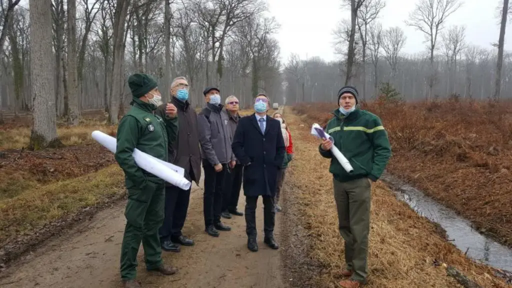 Le directeur de la DRAAF Aura, accompagné du Préfet de l’Allier et des représentants de la DDETSPP, de la DDT et de l’ONF, a parcouru la forêt de Tron