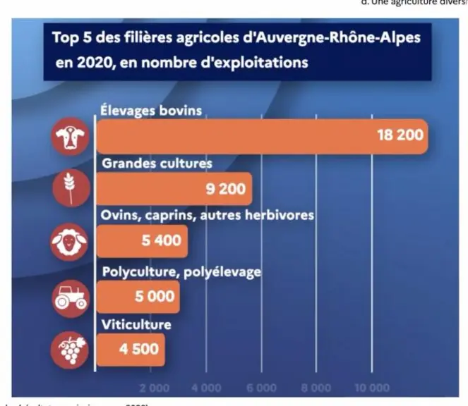 Si le nombre d’éleveurs est en baisse constante à chaque nouveau recensement agricole, l’élevage bovin reste encore la première production en Auvergne