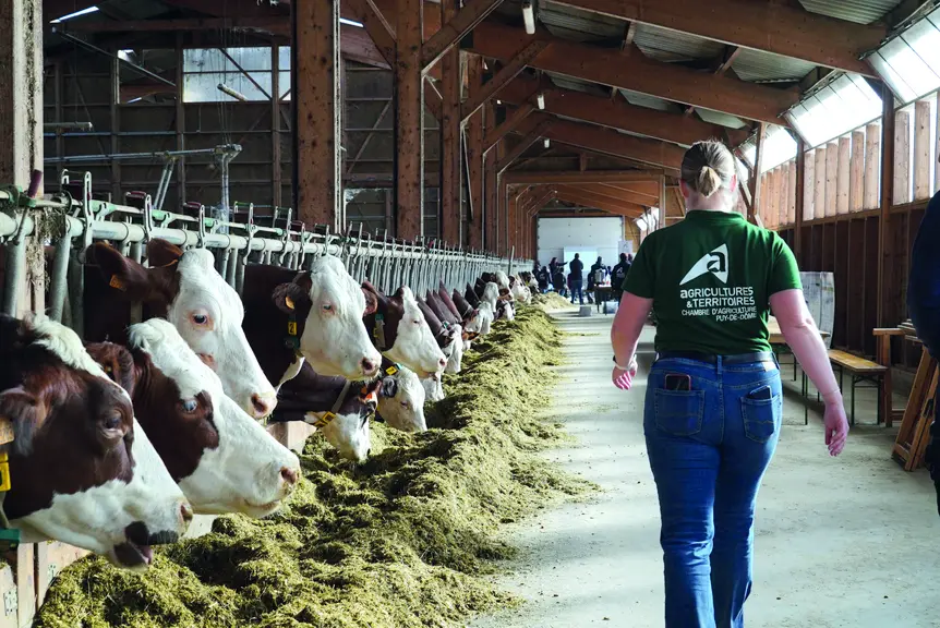 Depuis 2016, l’équipe fourrage de la Chambre d’agriculture du Puy-de-Dôme a analysé plus de 150 échantillons de fumier et de lisier bovins, prélevés d