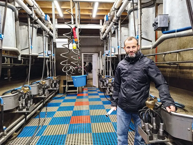 Un éleveur dans sa salle de traite.