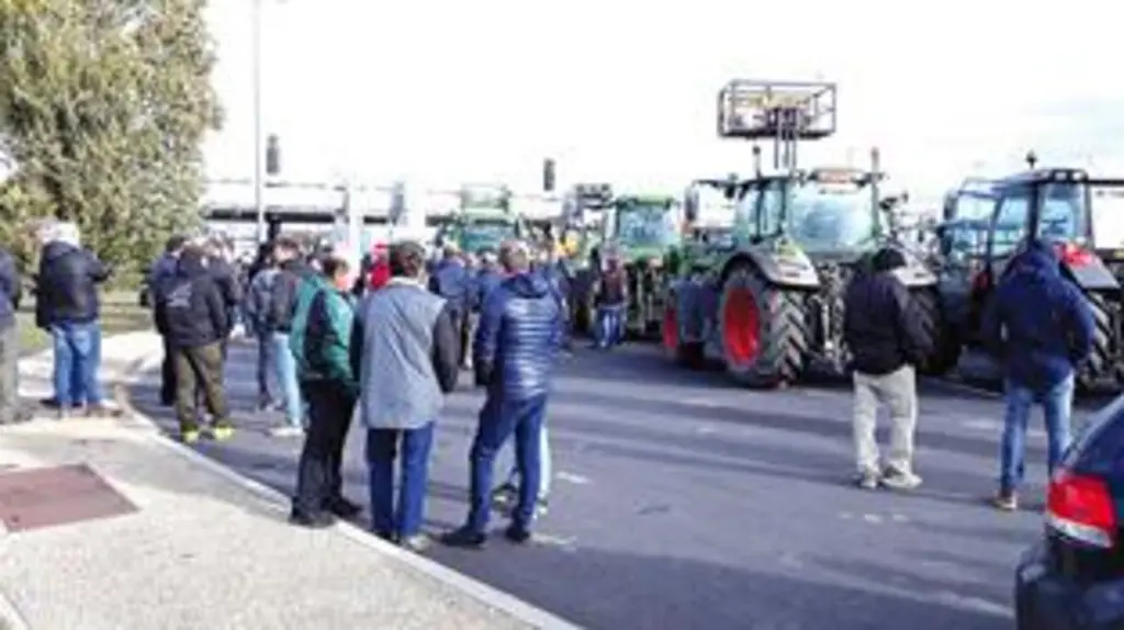 «On veut vous nourrir, pas mourir», «France veux-tu encore de tes paysans ?» «l’agriculture : enfant on en rêve, adulte on en crève»... autant de mess