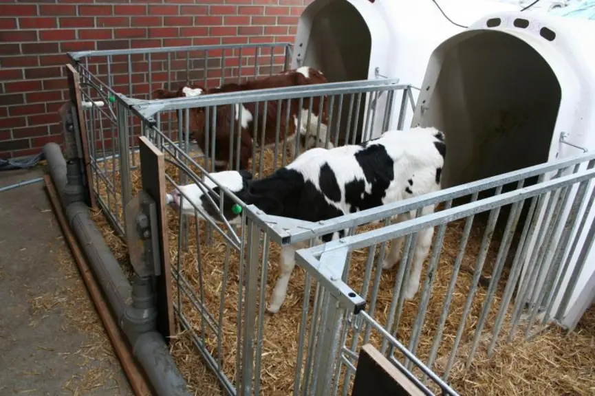 Le distributeur automatique de lait, commandé par ordinateur a été développé par la société allemande Urban.