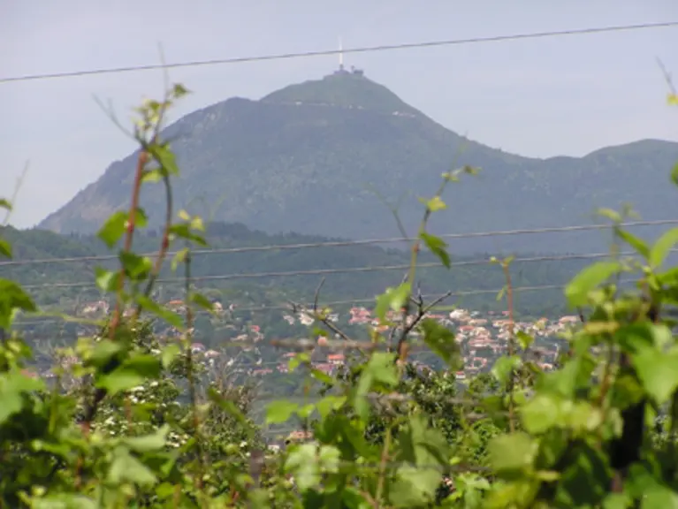 Des maturités comparables à celles de 2005