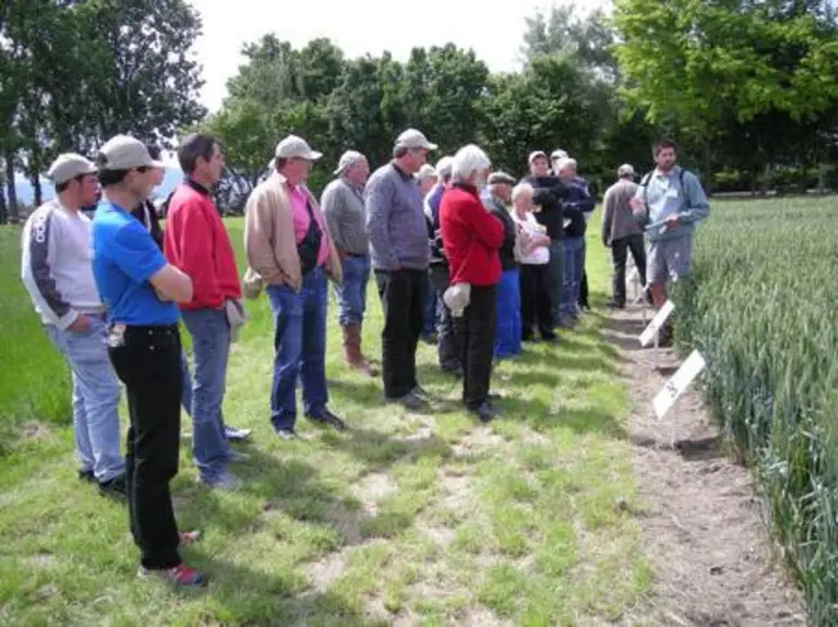 Des conseils au plus près du terrain sur la plate forme d’essais de Domagri, installée sur la ferme du Lycée agricole de Marmilhat pour la 2ème année