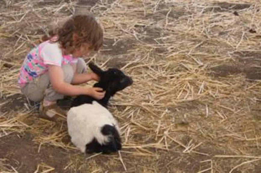 Claudine Crozet, agricultrice et propriétaire de la ferme pédagogique « l’Arche de Noé » à Jozerand, avait reconstitué une mini ferme pédagogique pour
