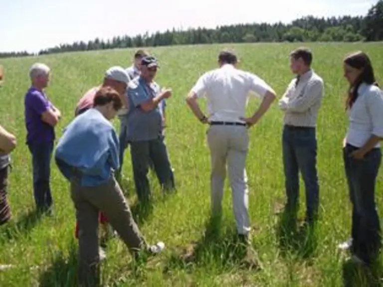 Dans le canton de Viverols, l’autonomie fourragère repose aussi sur l’utilisation de prairies temporaires.