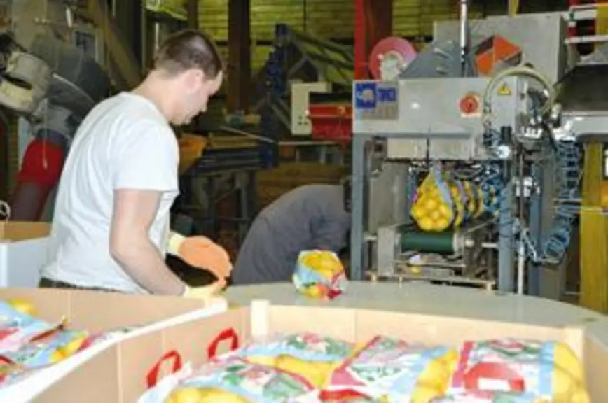 En sac de 25 kg, en carton de 12,5 kg, ou en filet de 2,5 kg, 
l’entreprise répond au plus près de la demande de ses clients.