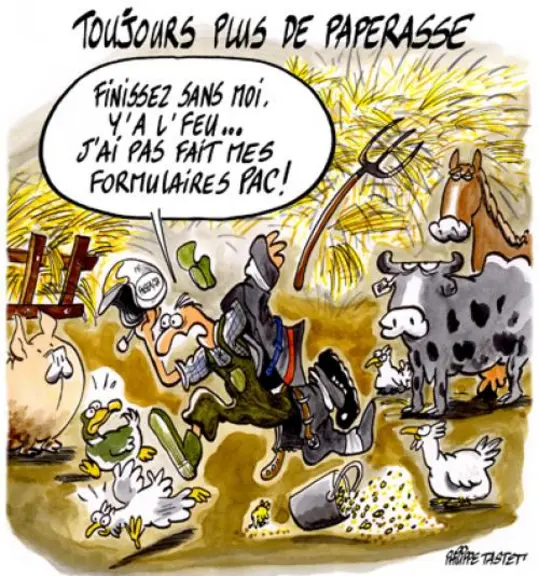 Déclaration de surfaces :  La circulaire relative aux "Déclarations de surface et paiements à la surface" est parue le 3 avril 2007.