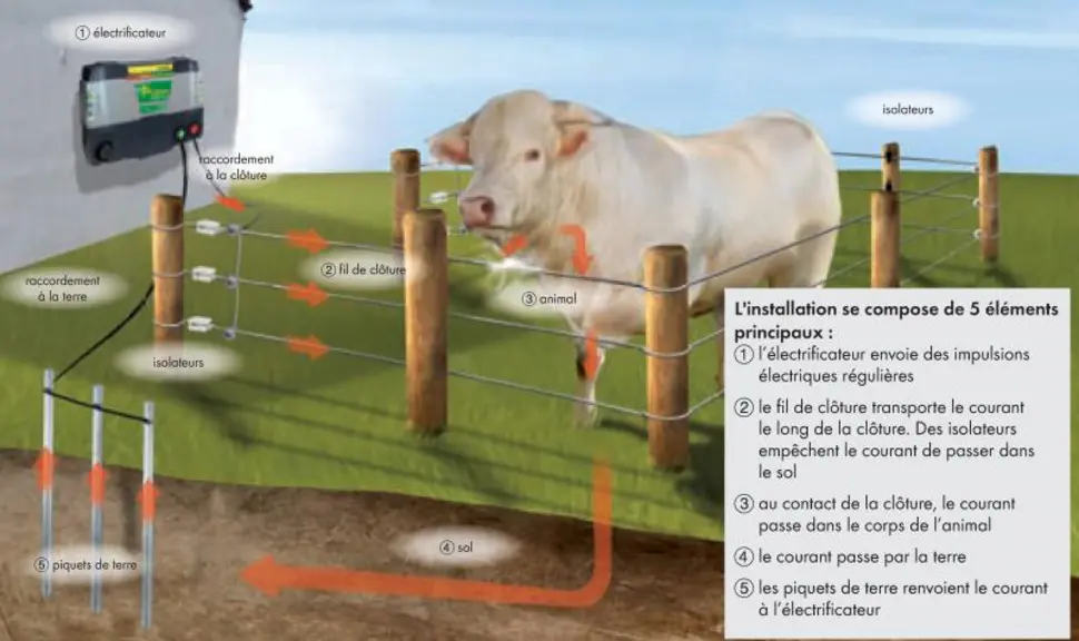 La clôture électrique est un circuit fermé dans lequel le maillon le plus faible est déterminant pour la fiabilité de tout le système de clôture. Le c