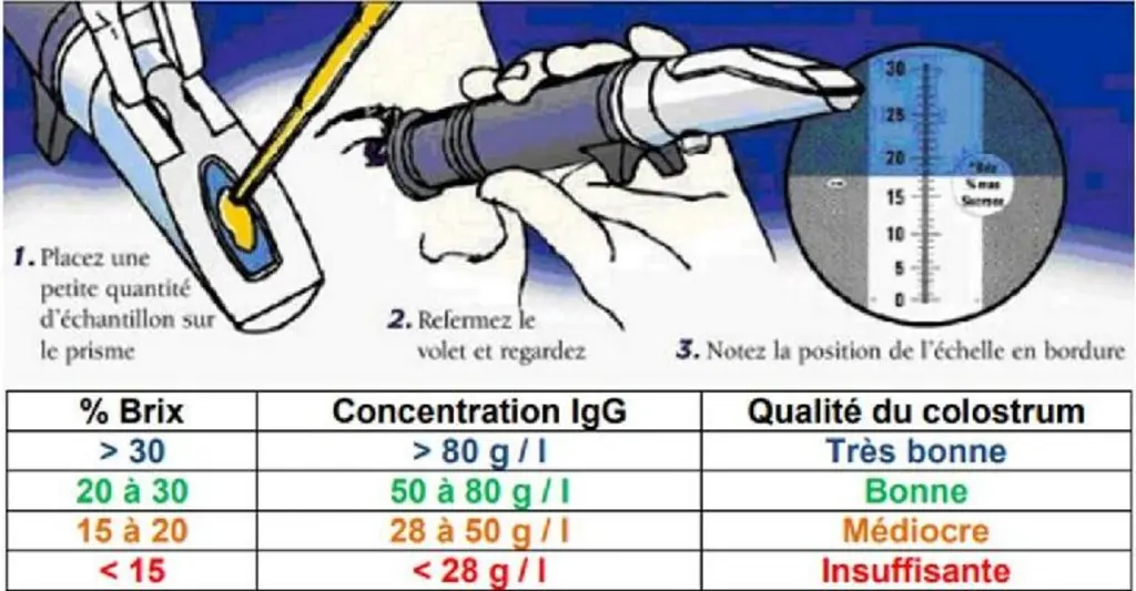 Le réfractomètre permet de vérifier très simplement la teneur en protéines du colostrum, et donc sa qualité. Déposer 1 ou 2 gouttes de colostrum sur l