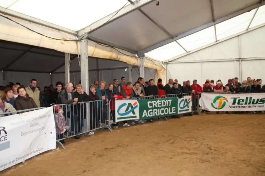 Un public de passionnés d'élevage.
