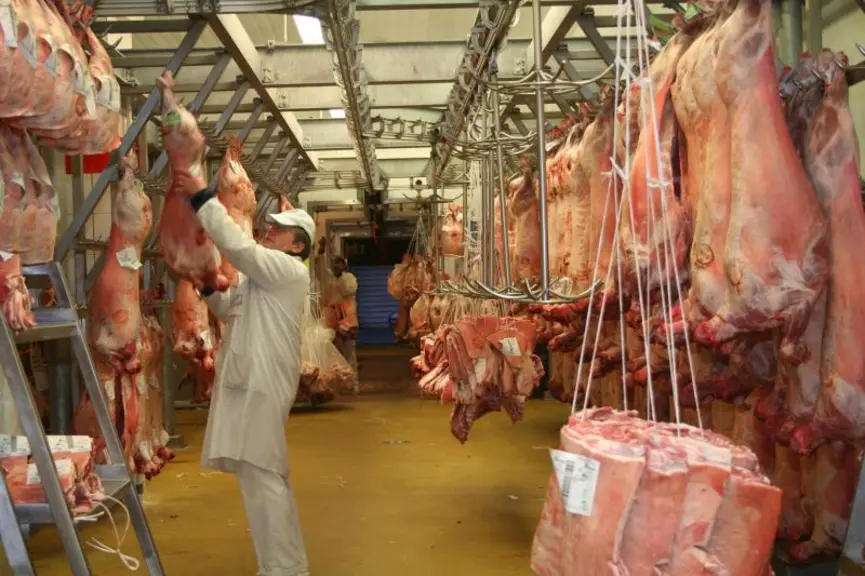 Le pavillon des produits carnés où transitent 319 000 tonnes de viande, dont 33 % viennent de l’étranger.