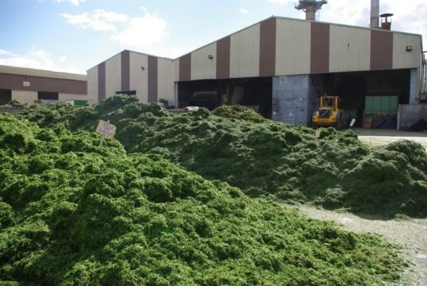 Usine de Coopedom, en Ile et Vilaine.