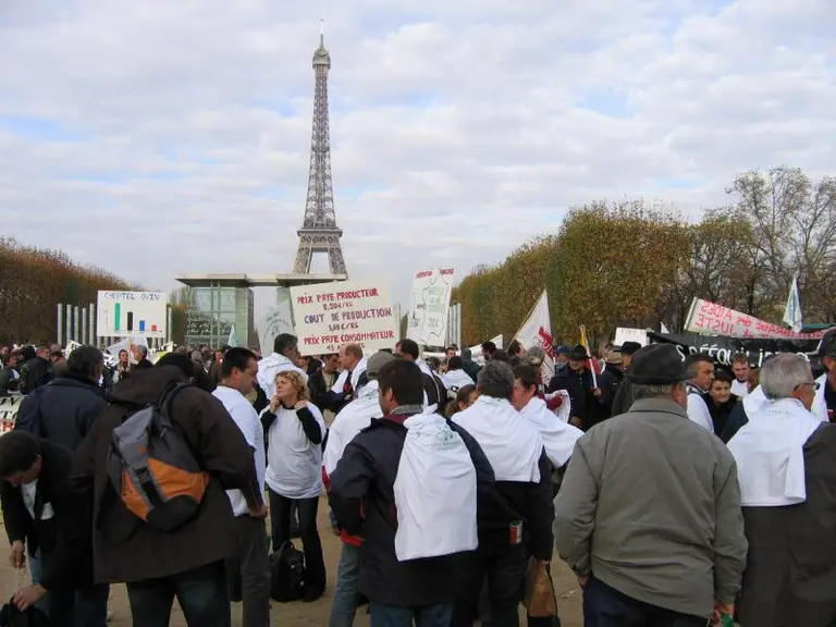 800 éleveurs ovins ont manifesté à Paris.