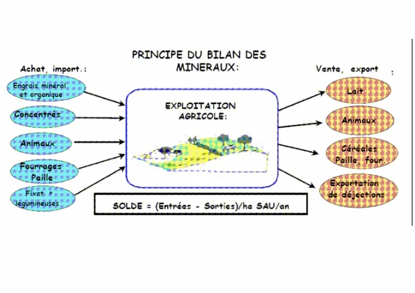Schéma 1 : Bilan des minéraux.