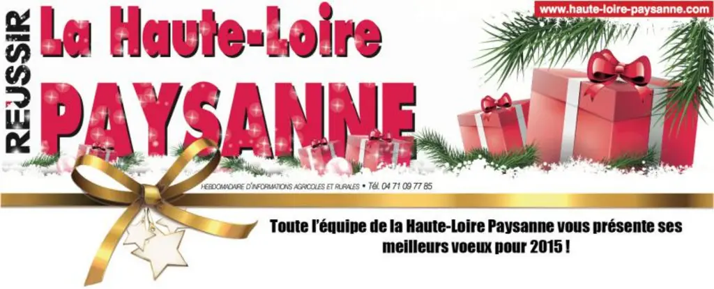 Voeux 2015