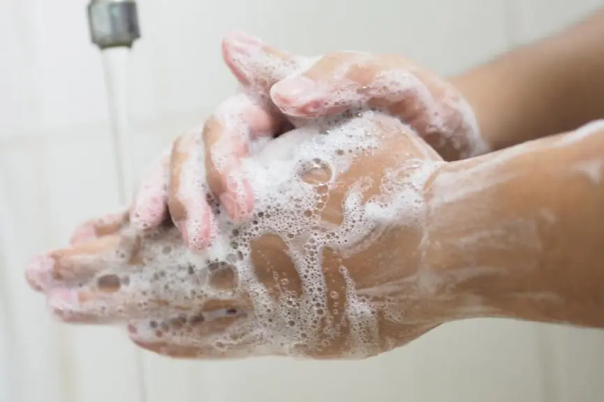 Pour se protéger et protéger les autres, se laver les mains à l’eau et au savon et bien les essuyer avec un papier jetable ou utiliser la solution hyd