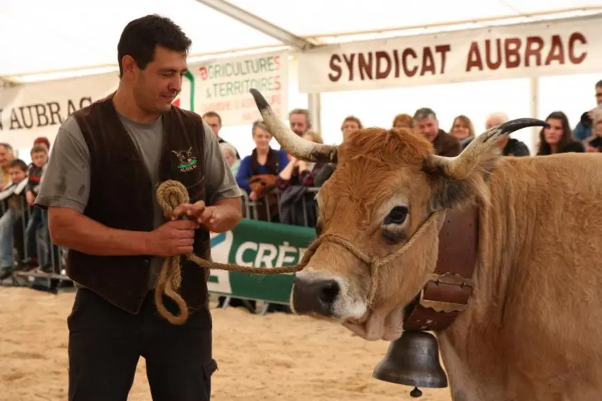 Un éleveur heureux à côté de son Aubrac qui a remporté un 1er prix de section.