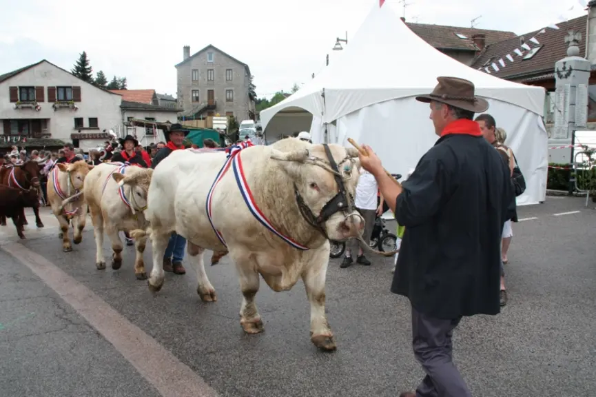 Le défilé le temps fort de la fête.