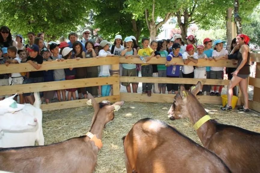 Les chèvres face à la jeunesse des écoles du bassin du Puy et de Vorey, une belle rencontre…
